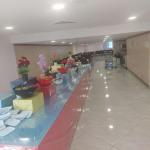 فندق قصر الطلائع